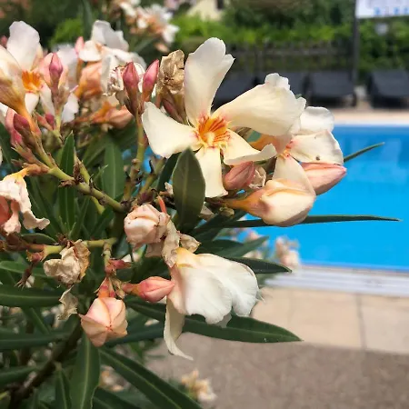 Haus Marika 4*
