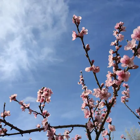 Affittacamere Haus Marika 4*